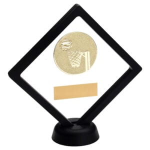 BLACK/CLEAR PLASTIC BOX WITH NETBALL INSERT TROPHY GOLD - 6in