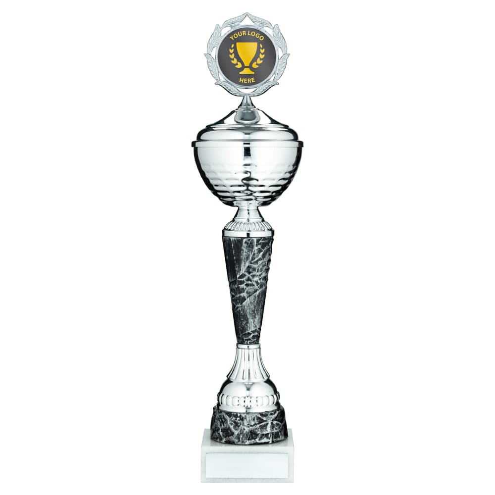 SILV/PEWTER TROPHY CUP WITH LID WITH PLATE (2in CENTRE) - 15in