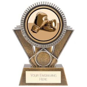 Apex Boxing Award Gold & Silver 155mm
