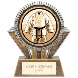 Apex Martial Arts Award Gold & Silver 130mm
