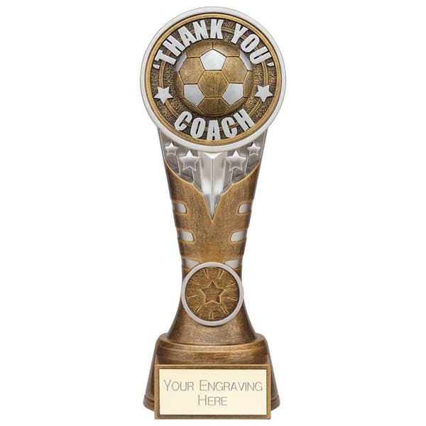 Ikon Tower Thank you Coach Award Antique Silver & Gold 200mm