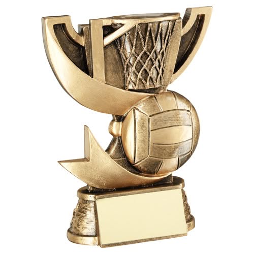 BRZ/GOLD CUP RANGE FOR NETBALL WITH PLATE -   5.75in