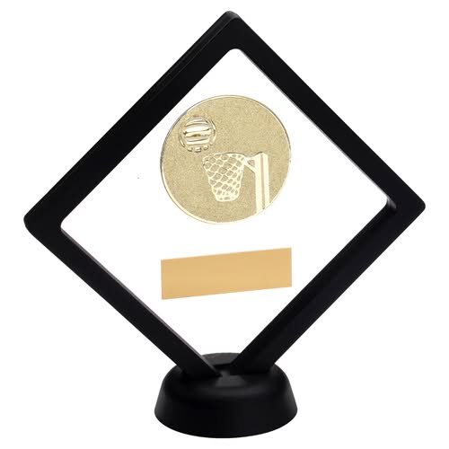 BLACK/CLEAR PLASTIC BOX WITH NETBALL INSERT TROPHY GOLD - 6in