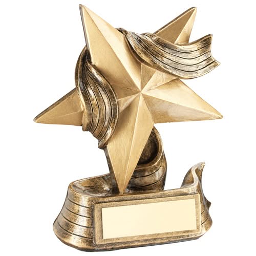 BRZ/GOLD STAR AND RIBBON AWARD WITH PLATE -       4.75in