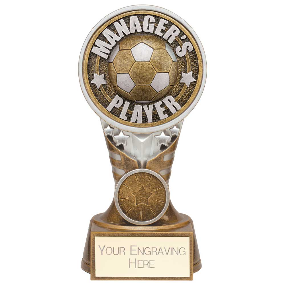Ikon Tower Managers Player Award Antique Silver & Gold 150mm